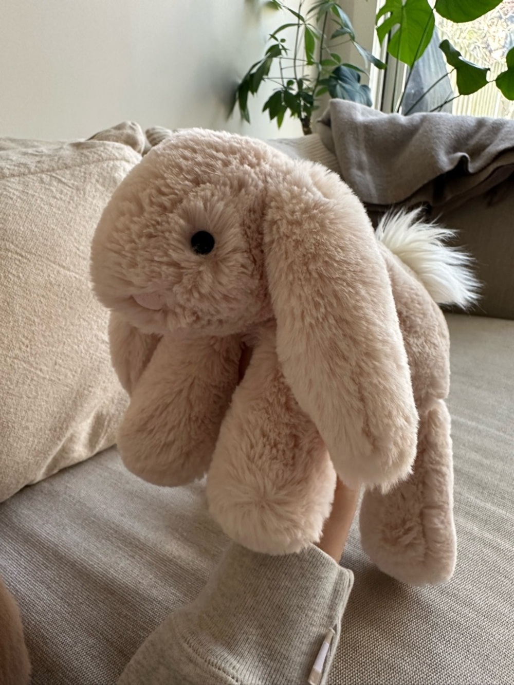 Jellycat Smudge Bunny Plush